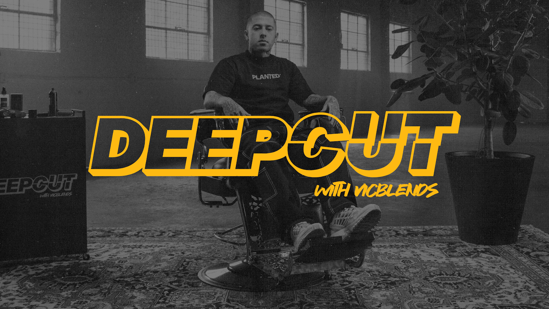 Thumbnail for DeepCut With VicBlends